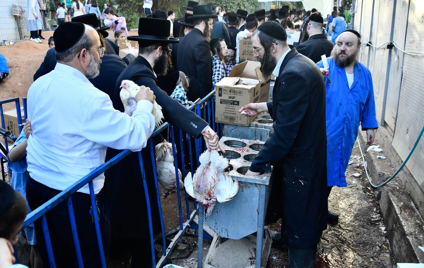 מנהג כפרות בבני ברק 