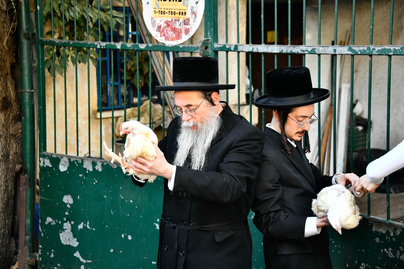 מנהג כפרות בבני ברק 