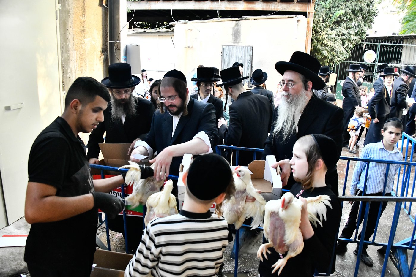 מנהג כפרות בבני ברק 