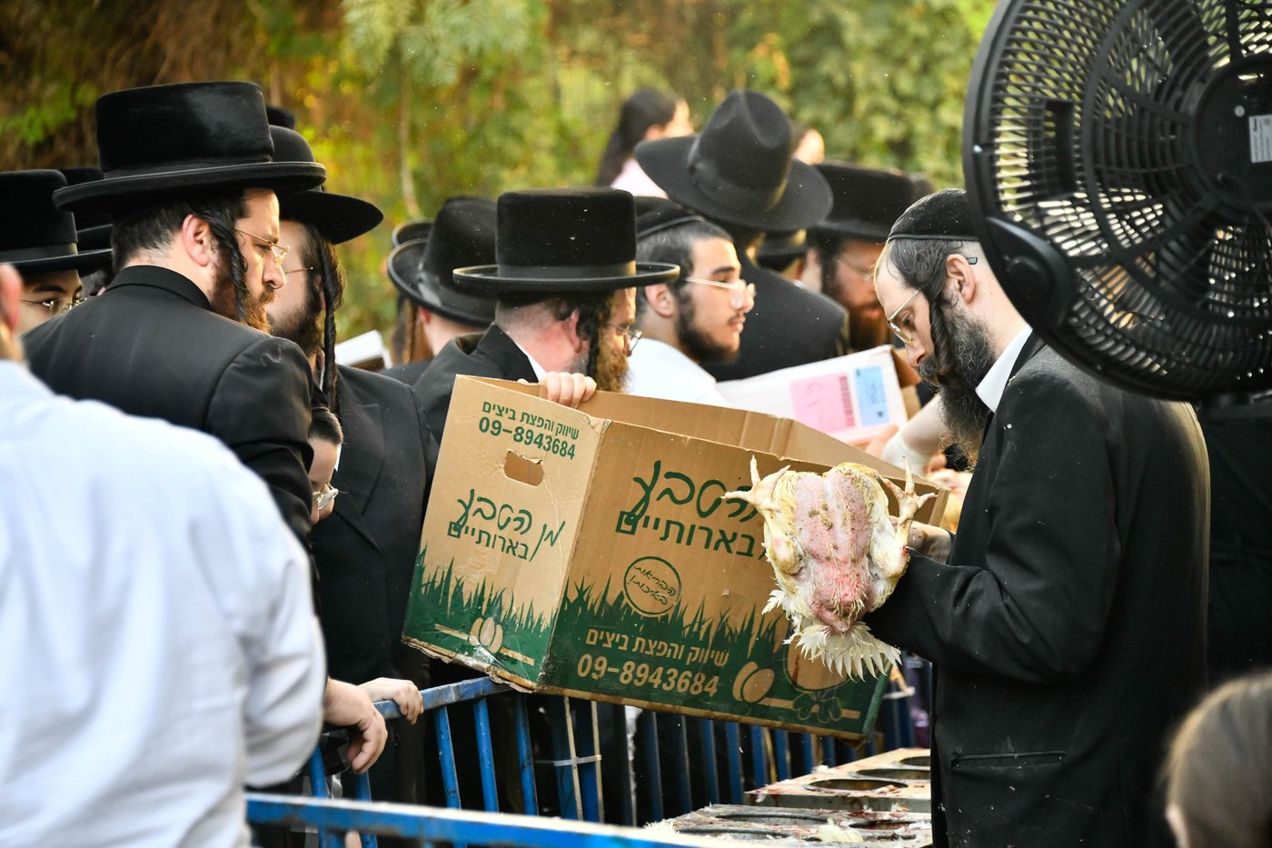 מנהג כפרות בבני ברק 