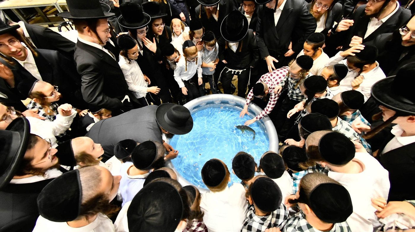 האדמו"ר מסאדיגורה במנהג תשליך