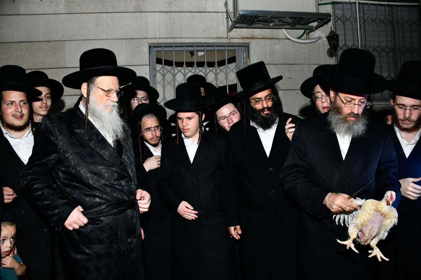 האדמו"ר ממודז'יץ במנהג כפרות