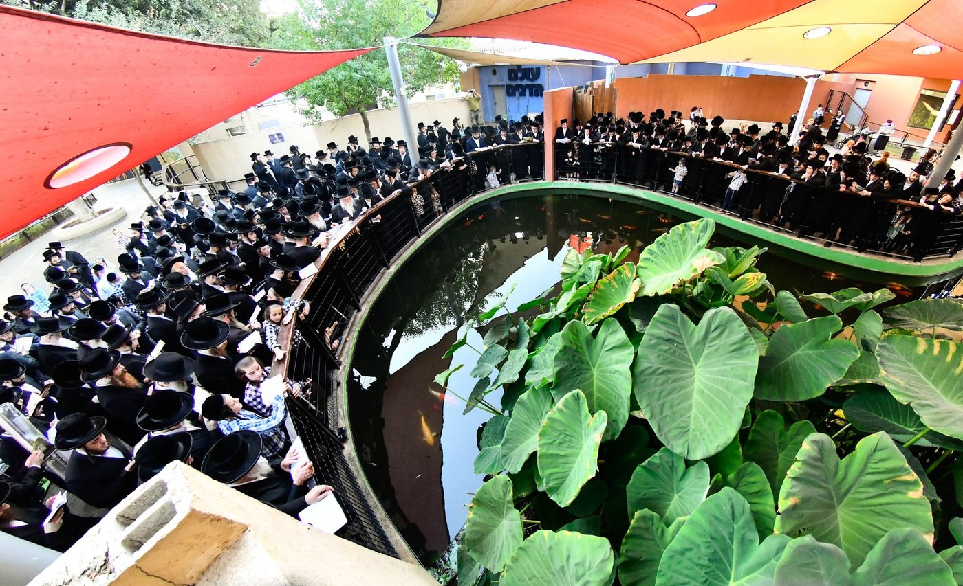 האדמו"ר מנדבורנה בתשליך 
