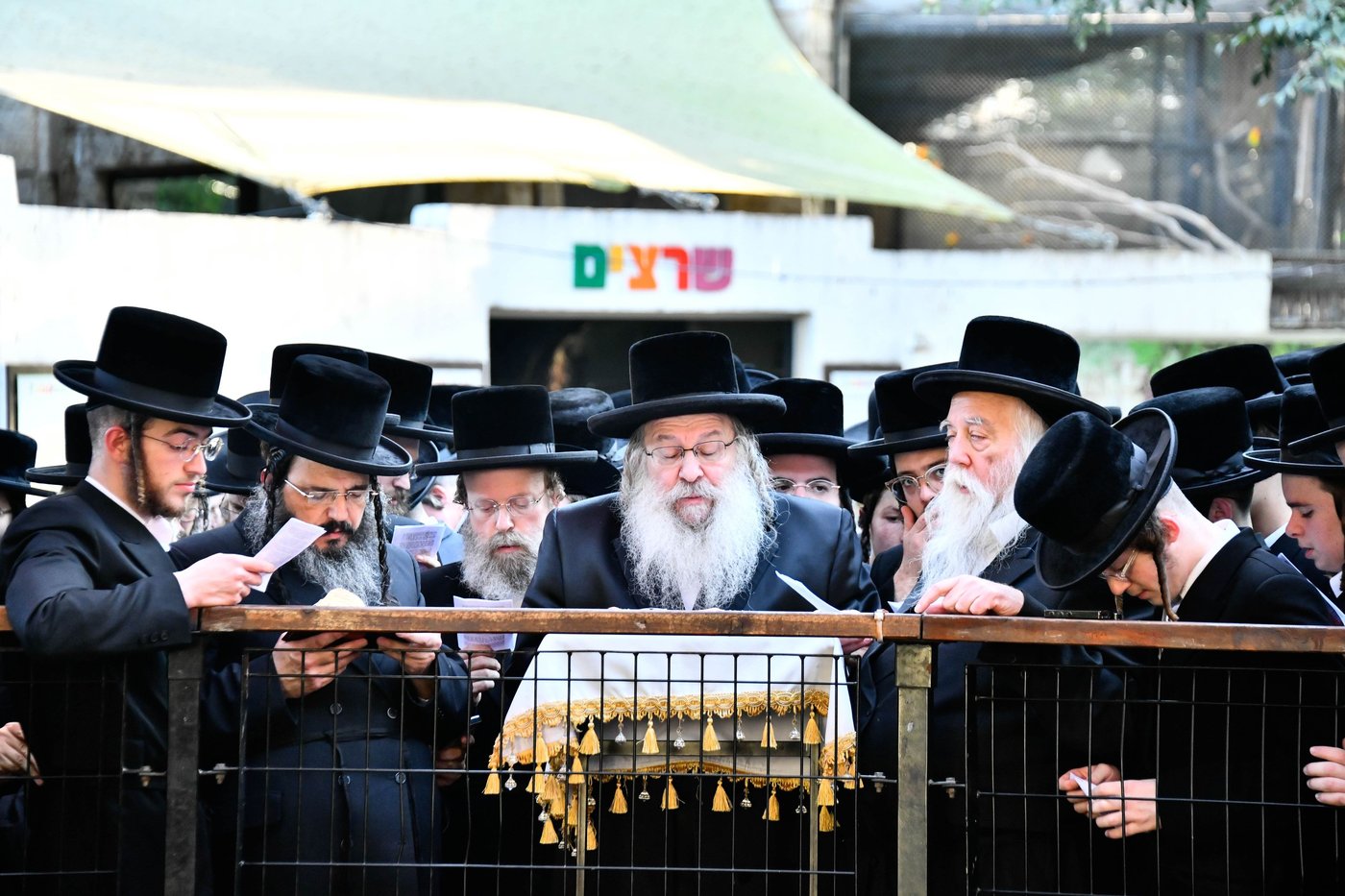 האדמו"ר מנדבורנה בתשליך 
