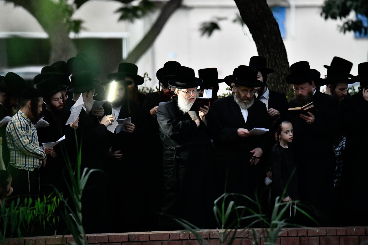 האדמו"ר מבוהוש בתשליך 