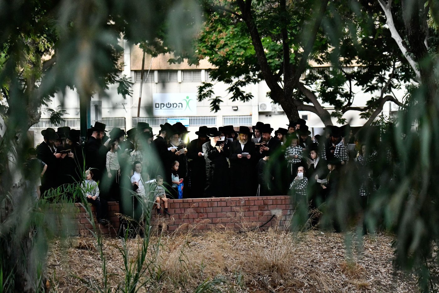 האדמו"ר מבוהוש בתשליך 
