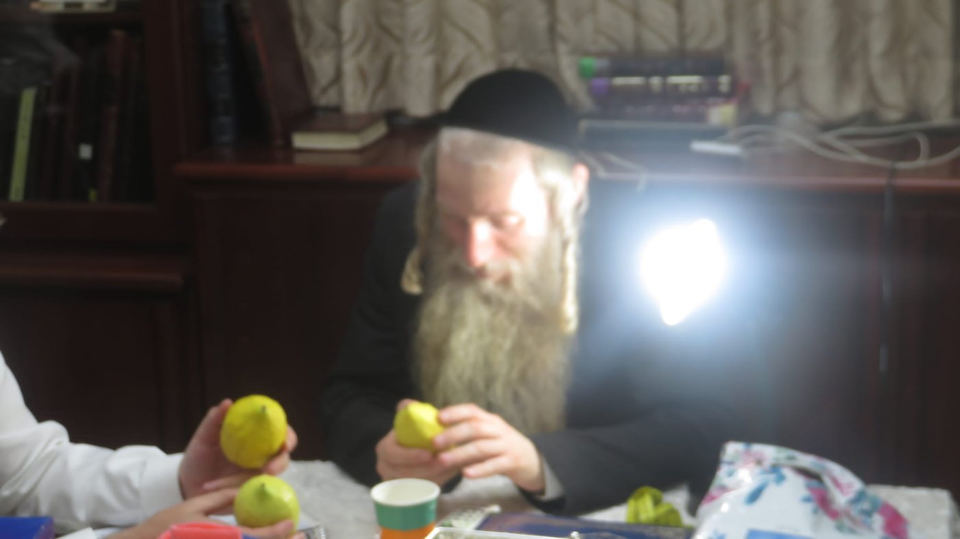 גדולי רבני העיר אלעד במענה לתושבי העיר בעניין ד' מינים