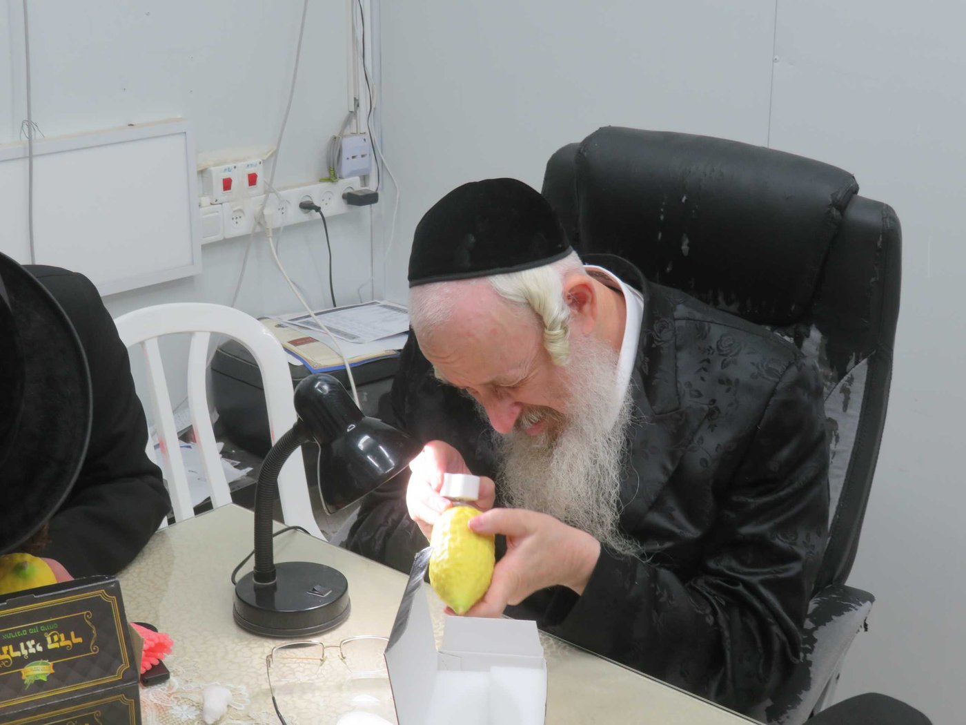 גדולי רבני העיר אלעד במענה לתושבי העיר בעניין ד' מינים