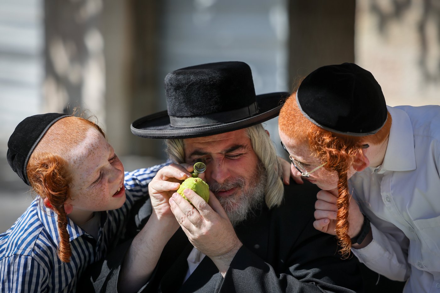 פרי עץ הדר