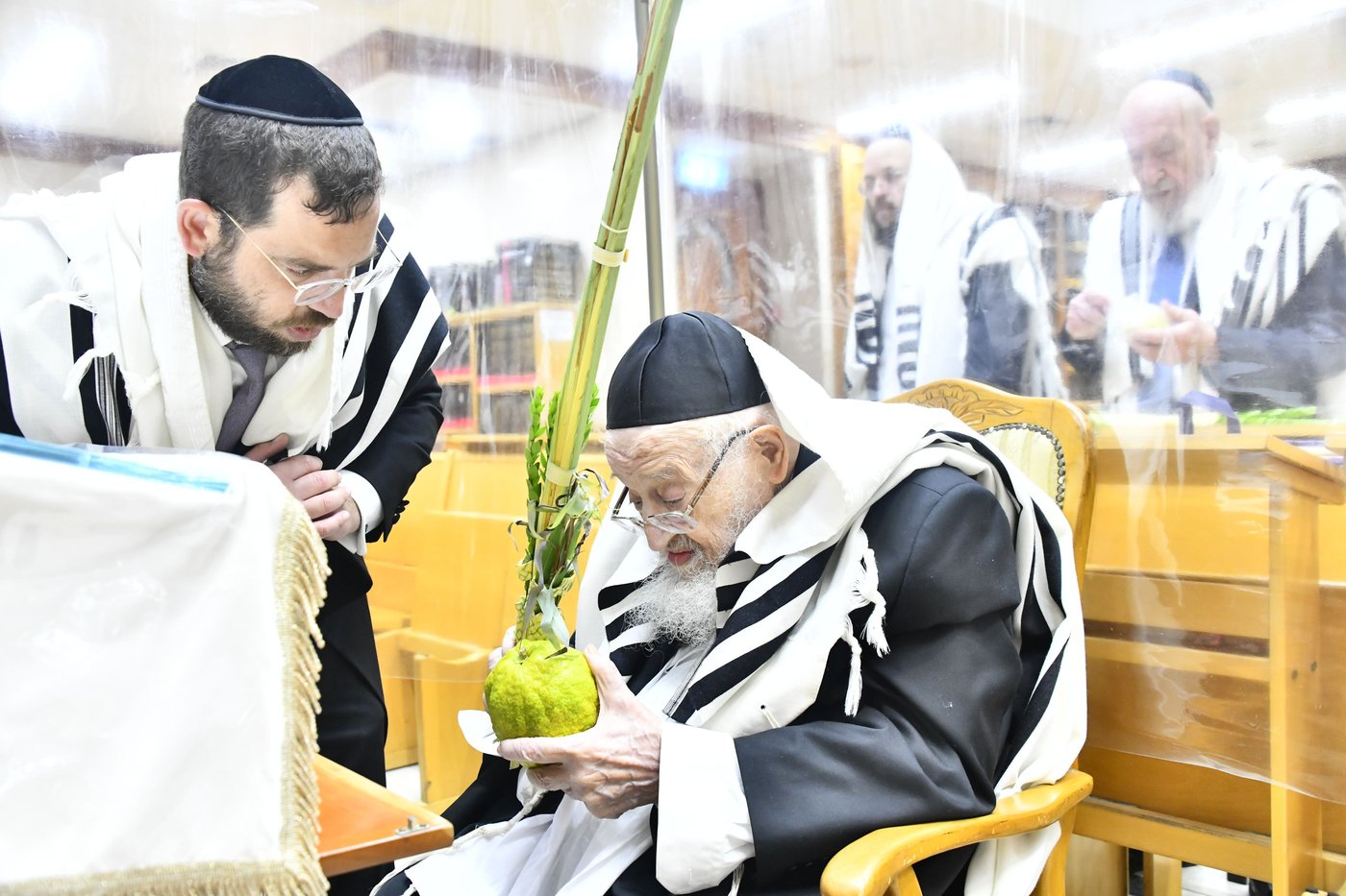 הגאון רבי מאיר צבי ברגמן בנטילת לולב 
