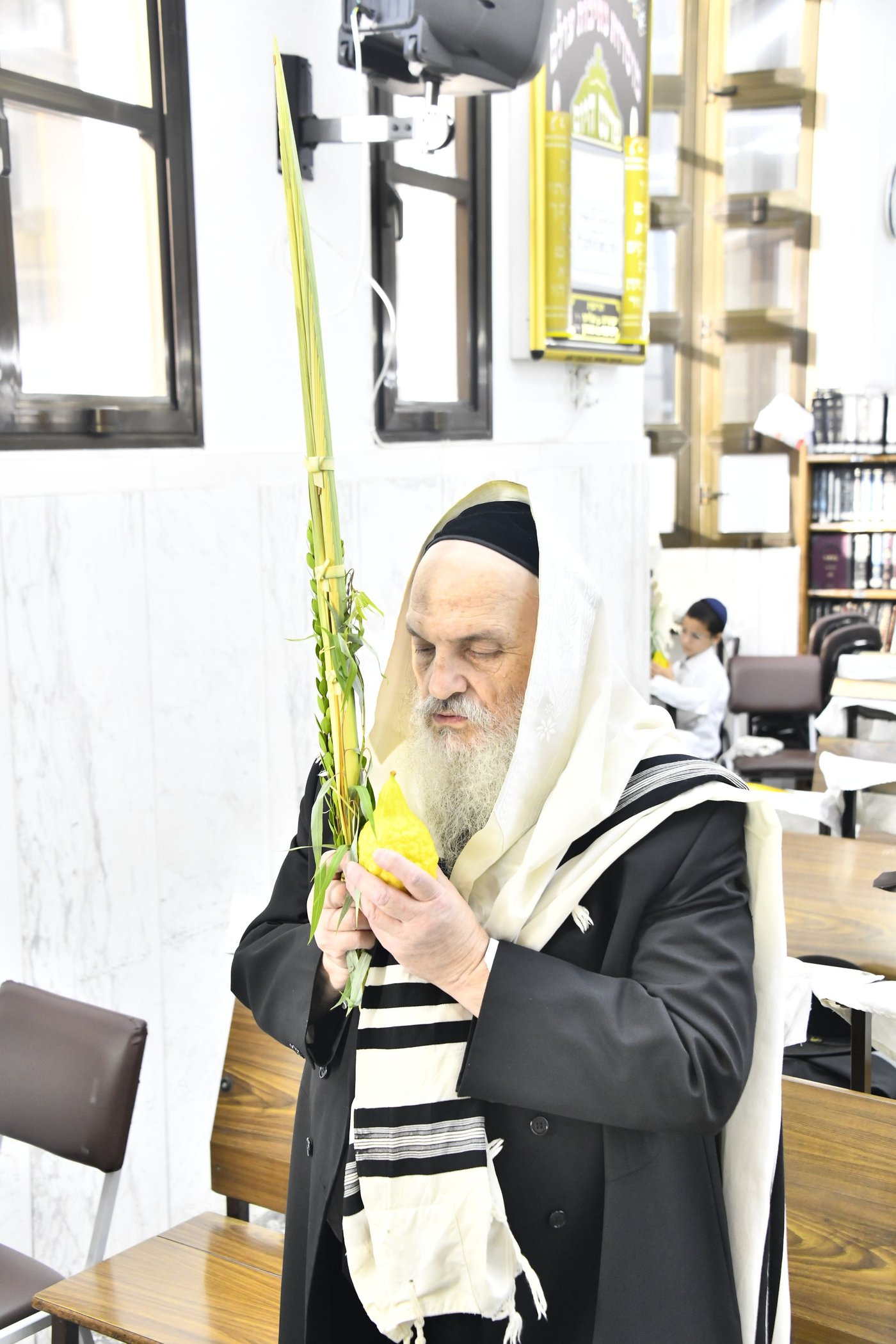 הגאון רבי חיים פיינשטיין בנטילת לולב 