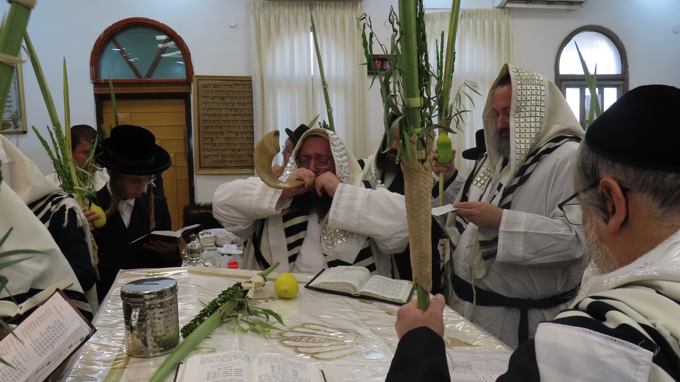 חג הסוכות ושמחת תורה בחצה"ק ז'ימגראד 