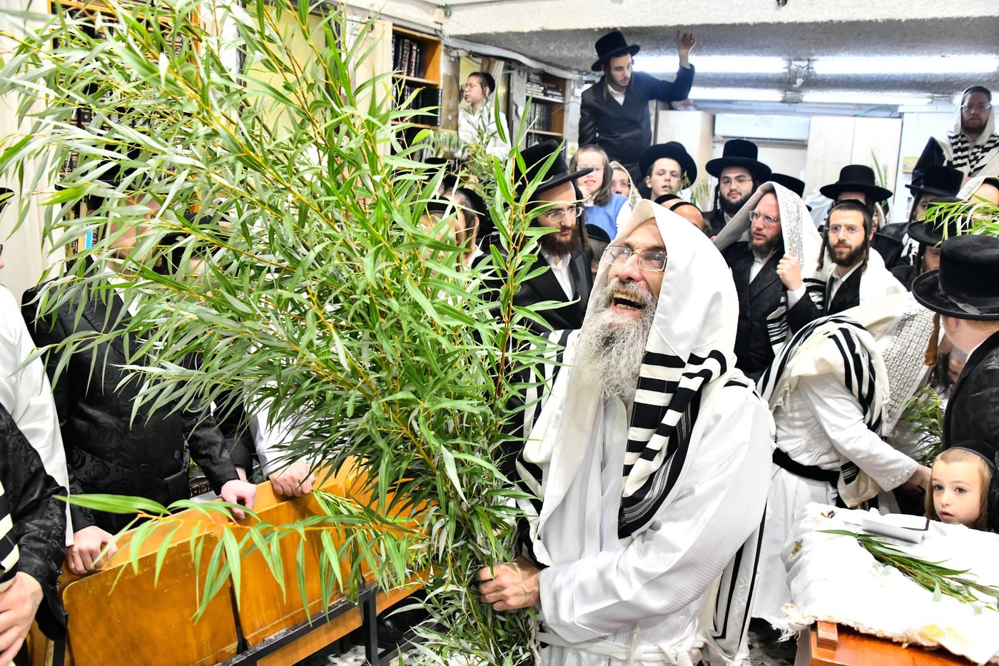 הושענא רבה אצל המשפיע הגה"צ רבי אלימלך בידרמן