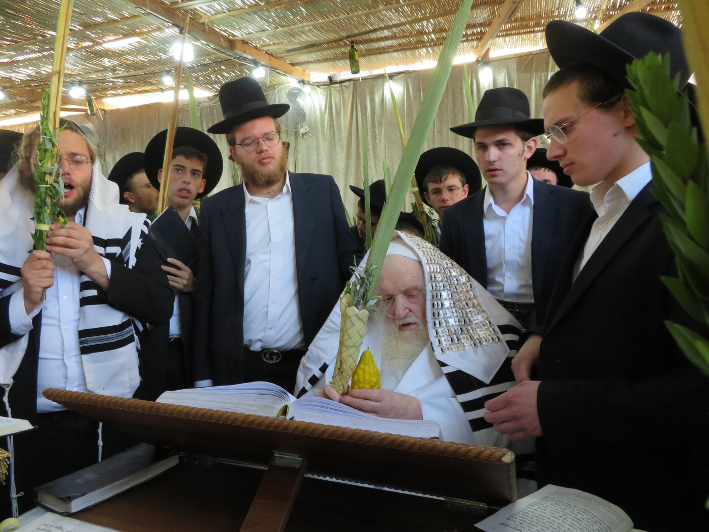 סוכות תשפ"ה במחיצת הגר"מ שטרנבוך