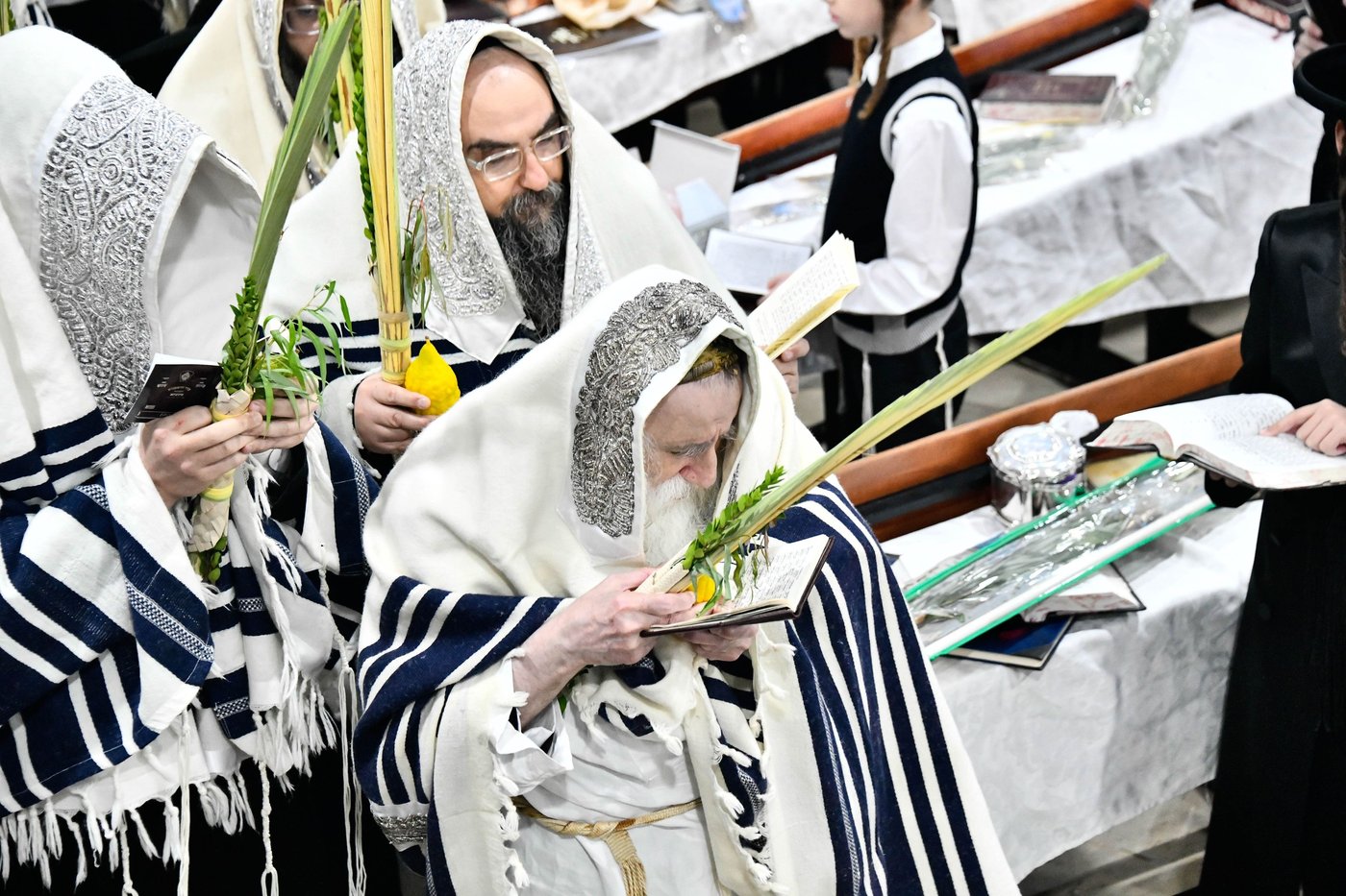 הושענא רבה בחצה"ק מכנובקא בעלזא