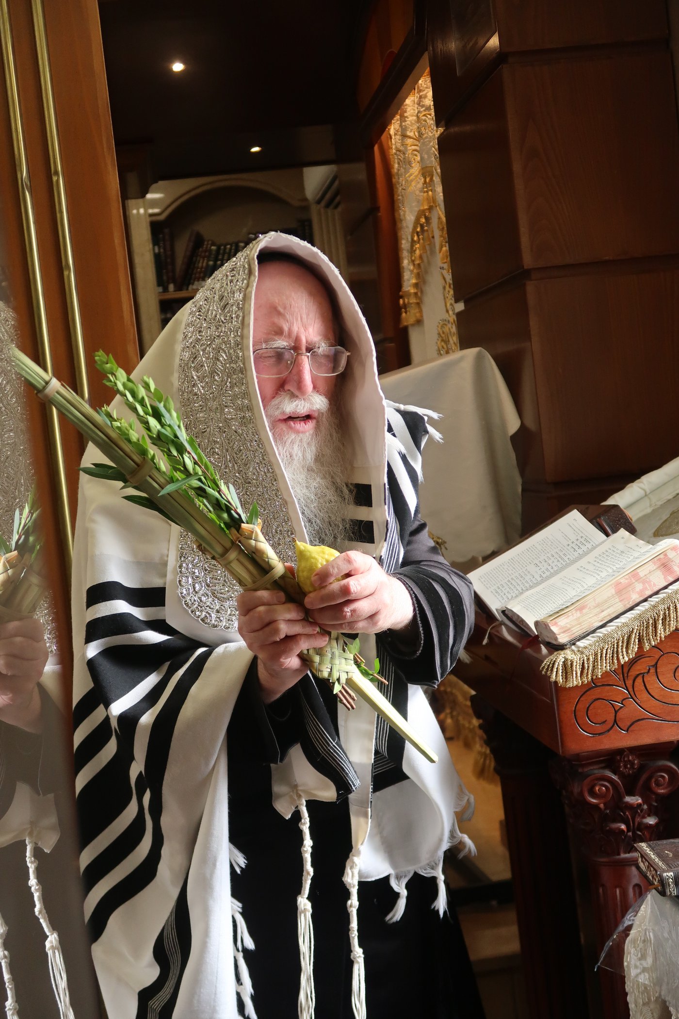 סוכות אצל הגה"צ אב"ד קרית צאנז ירושלים 