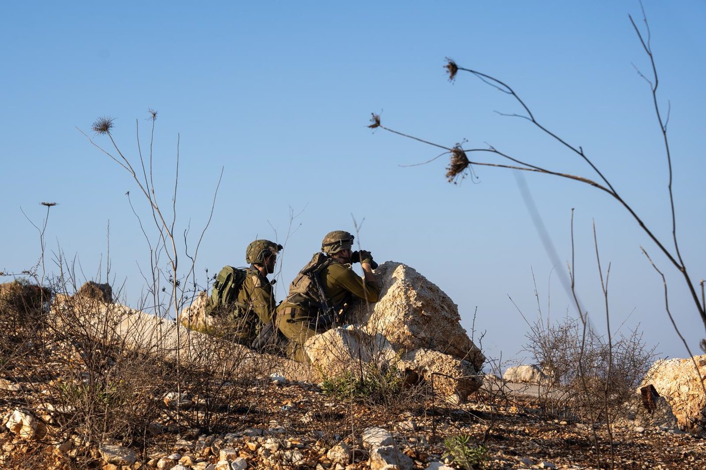 פעילות הכוחות באיזור