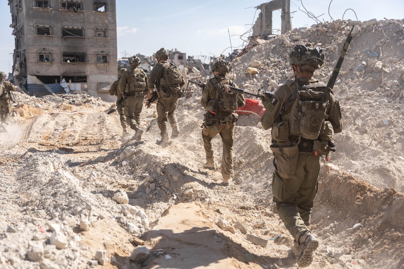 פעילות הכוחות