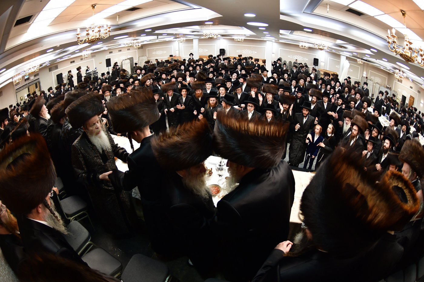 שמחת נישואי בת האדמו"ר משומרי אמונים אשדוד, עב"ג נכד האדמו"ר מלויעב טשערנוביל