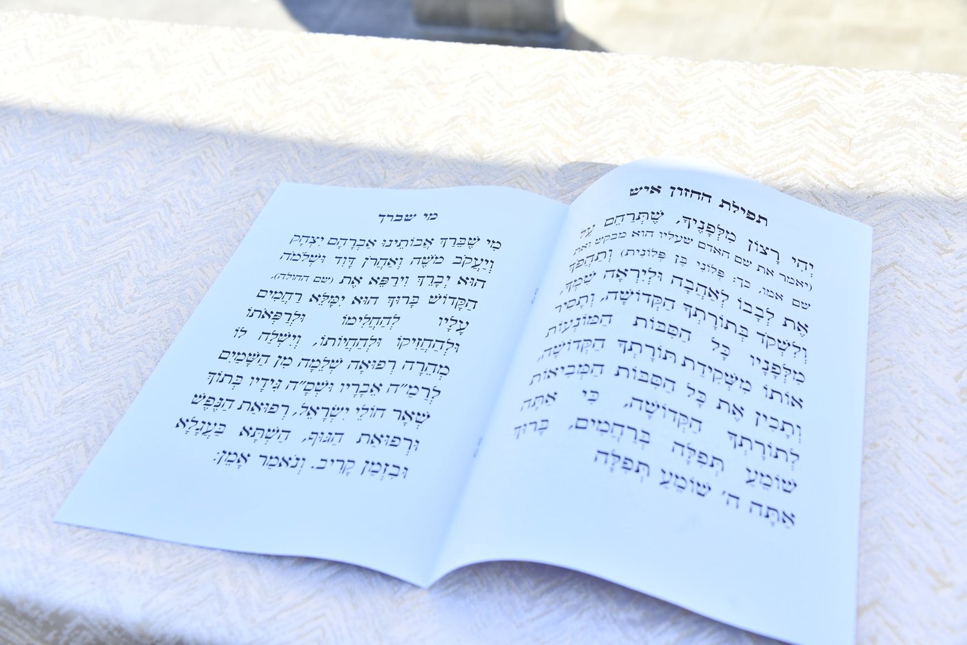 הגאון רבי מאיר גריינמן בהילולת ה'חזון איש' 