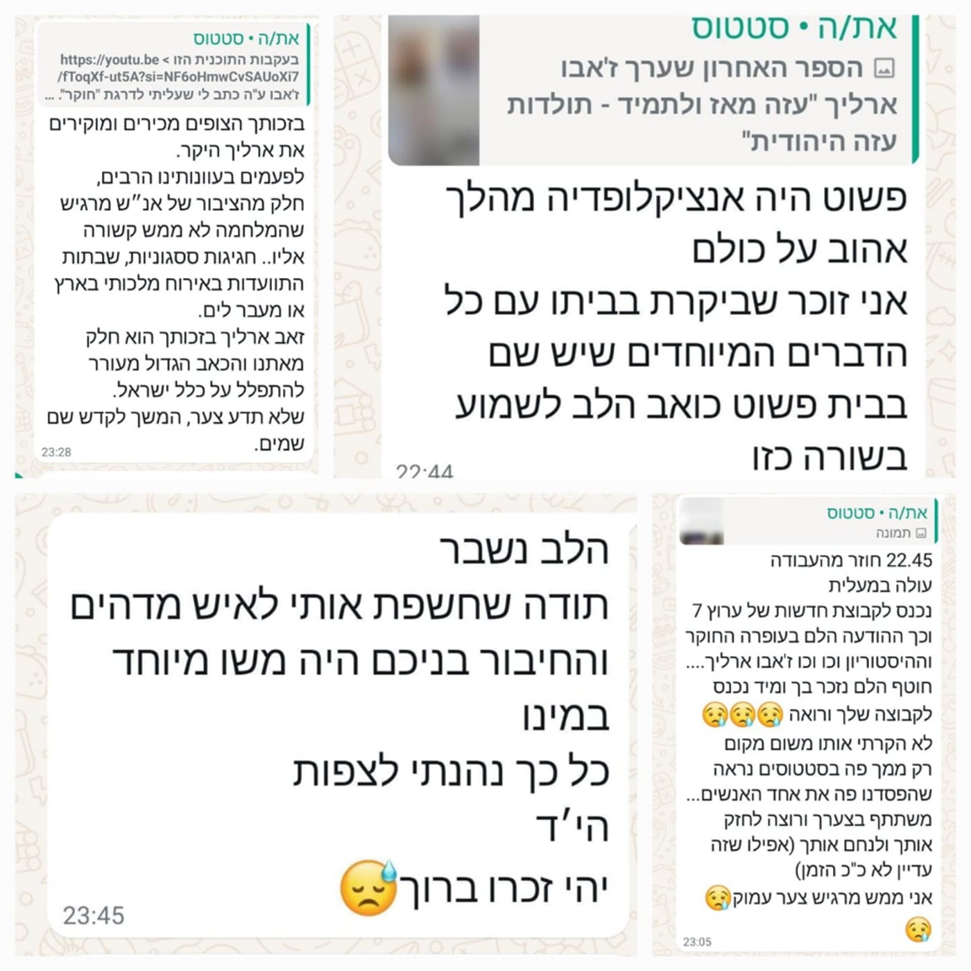 גולשים סופדים לז'אבו ארליך
