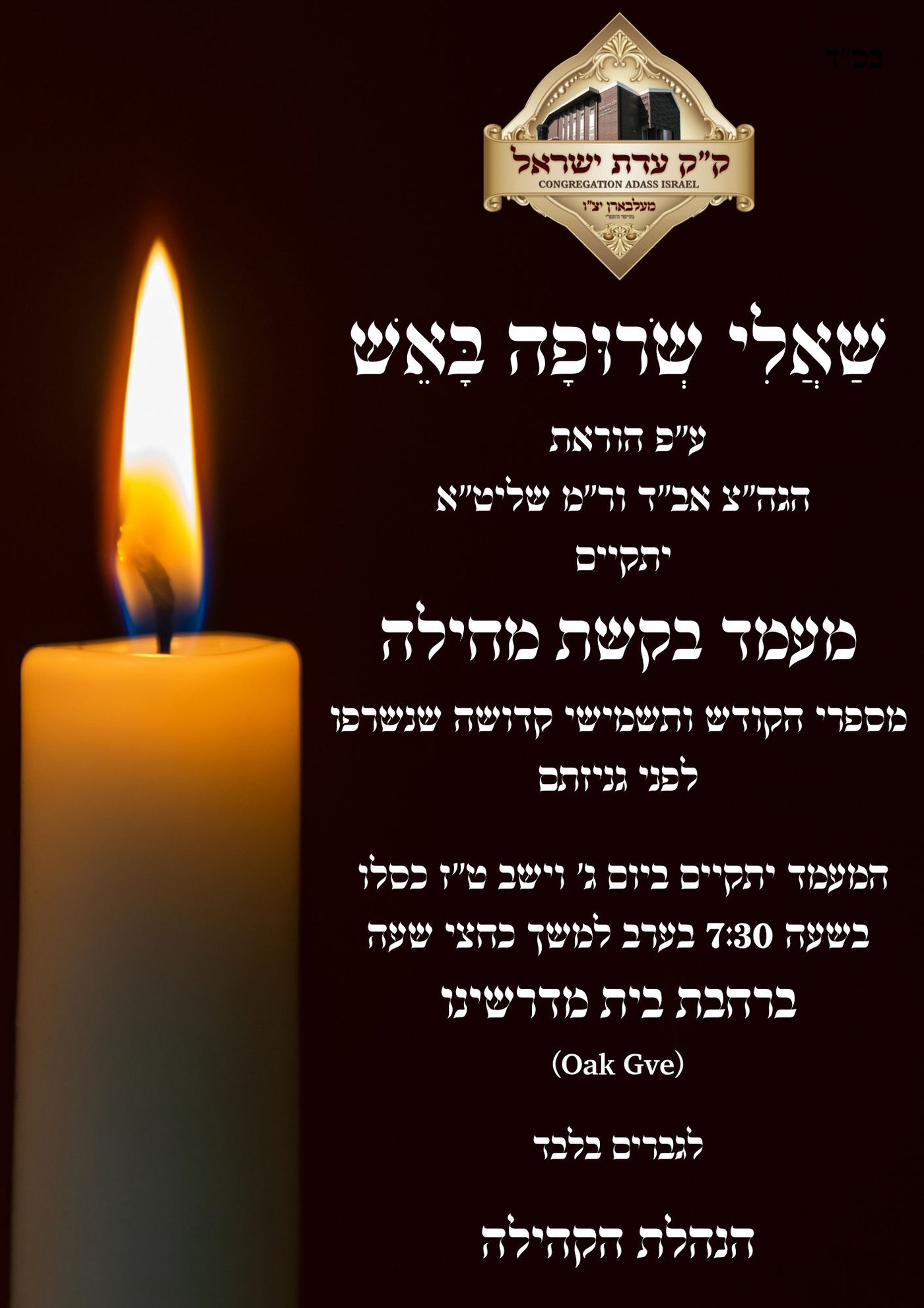 לפני גניזתם | מאות תושבי אוסטרליה יחלקו כבוד אחרון לספרים הקדושים