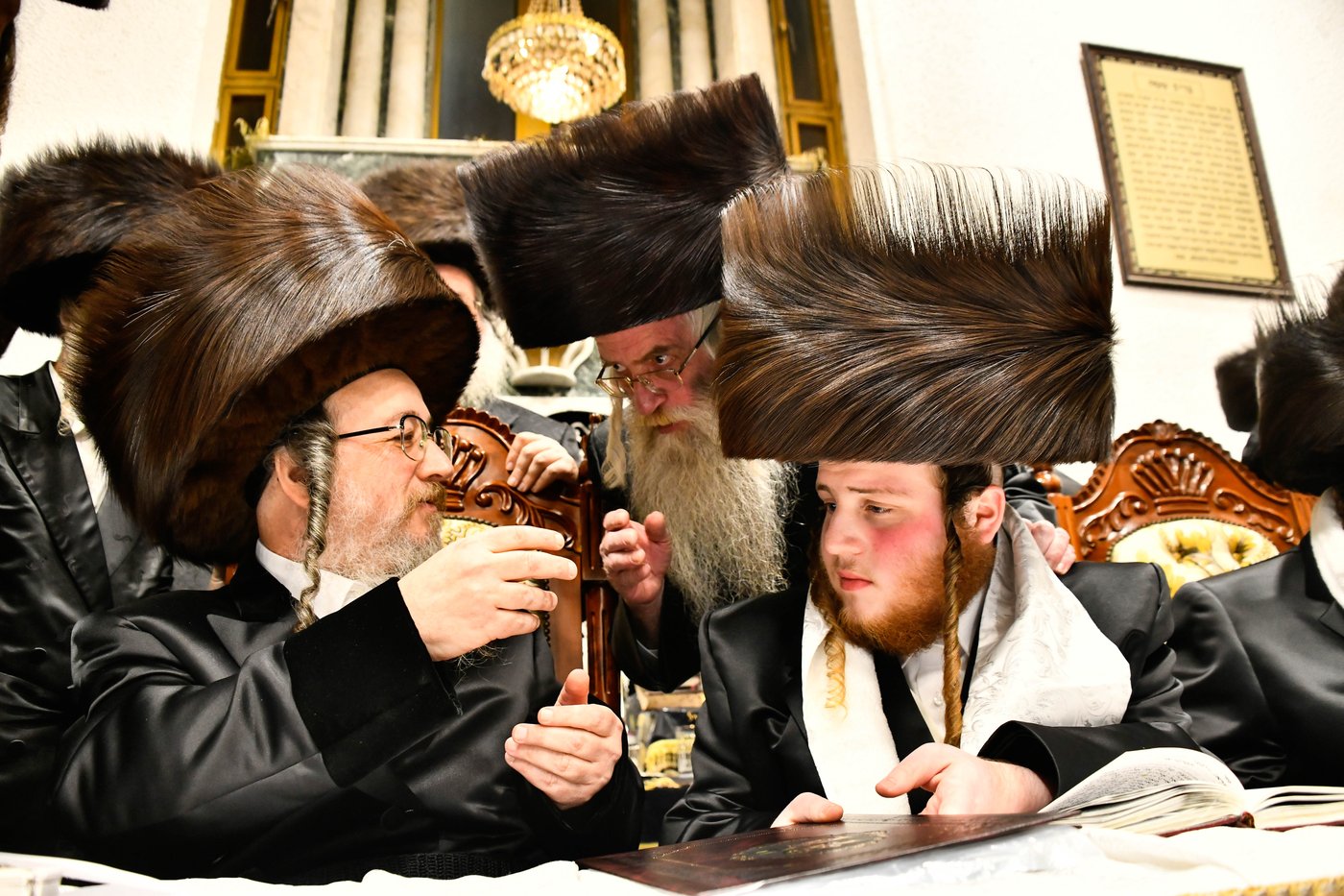שמחת נישואי בן האדמו"ר מביאלה ב"ב