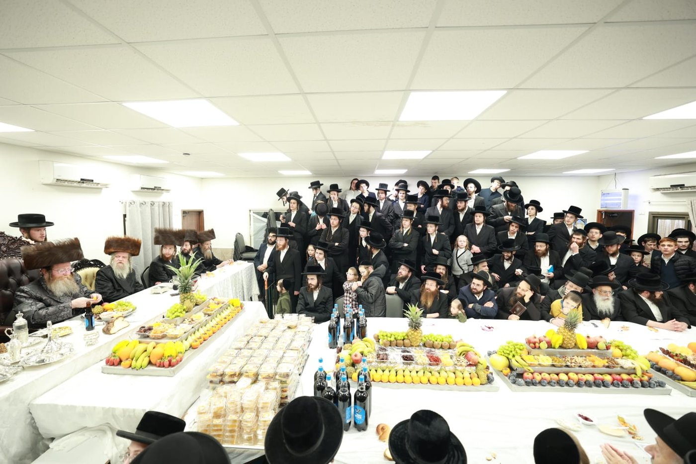 ט"ו בשבט בחצה"ק טרבישאן