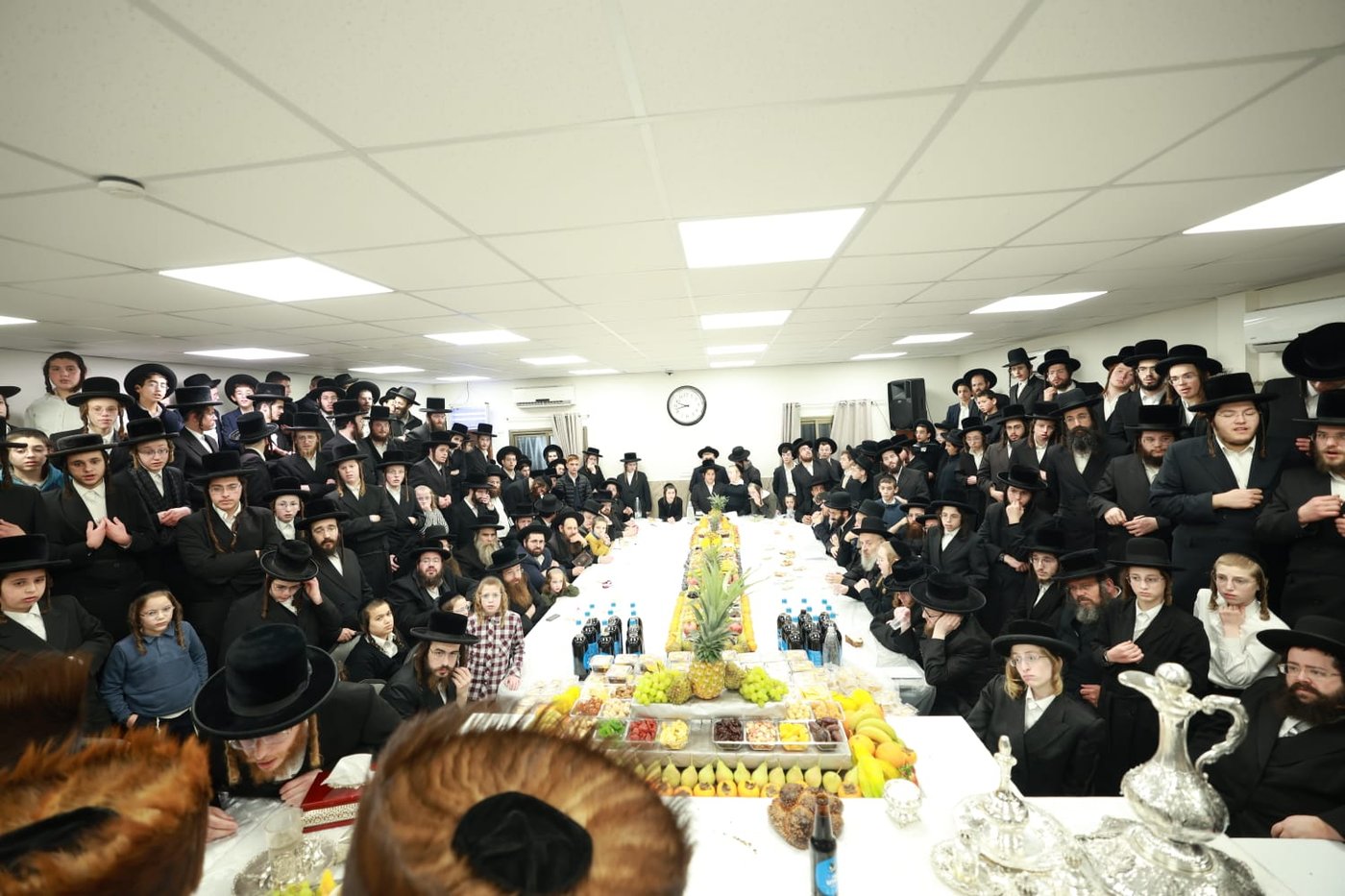 ט"ו בשבט בחצה"ק טרבישאן