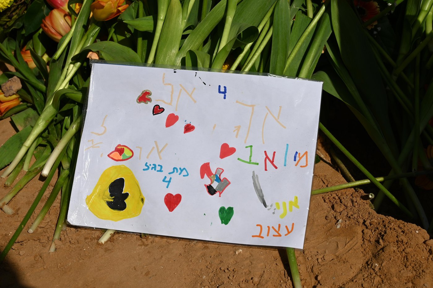 תיעוד קורע לב: ירדן ביבס על קברם של שירי, אריאל וכפיר