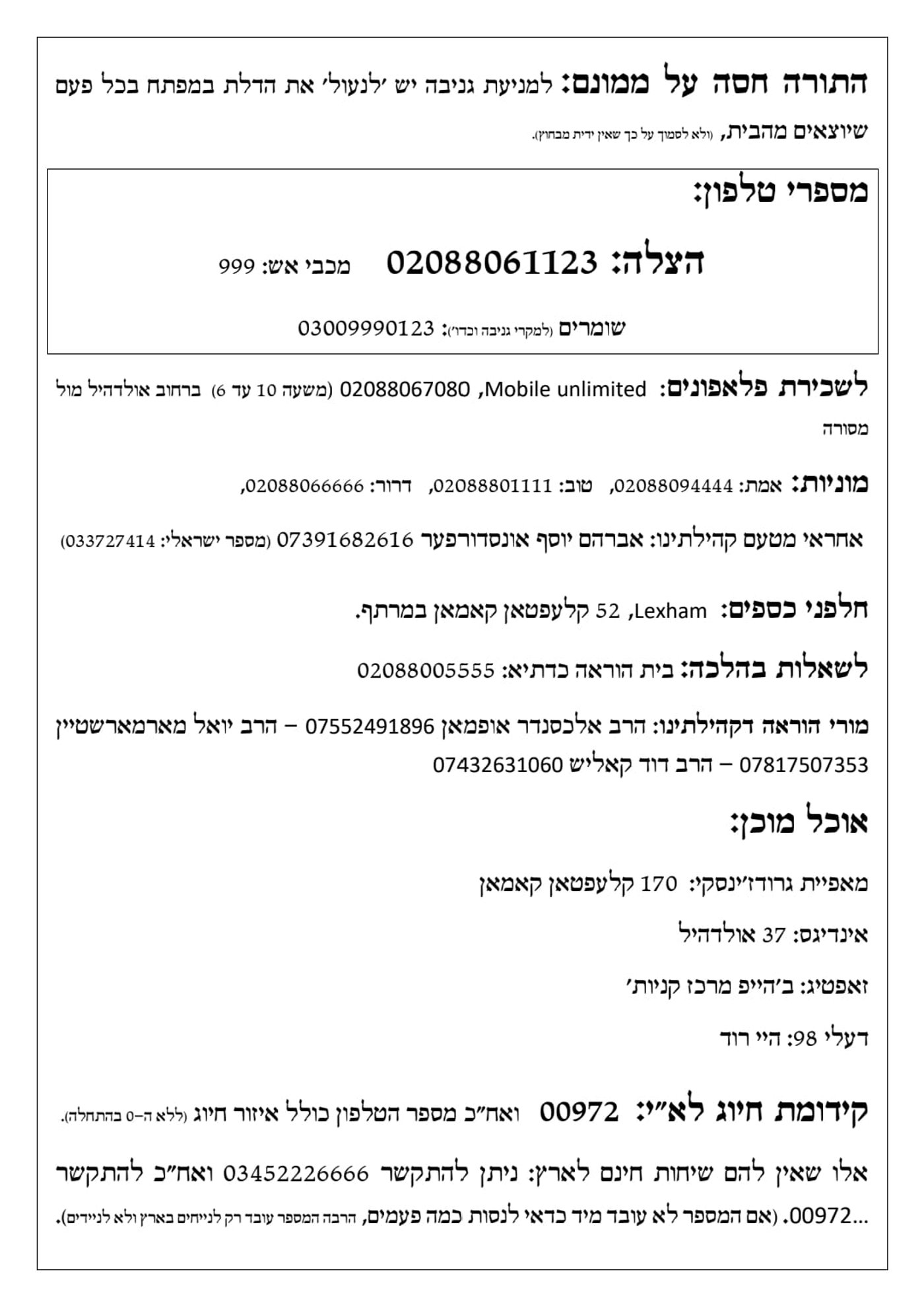 כללים ברורים לחציית כבישים: שמחת בית דושינסקיא בלונדון