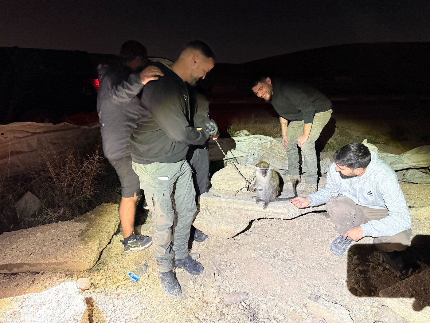 הקוף שאותר בנגב
