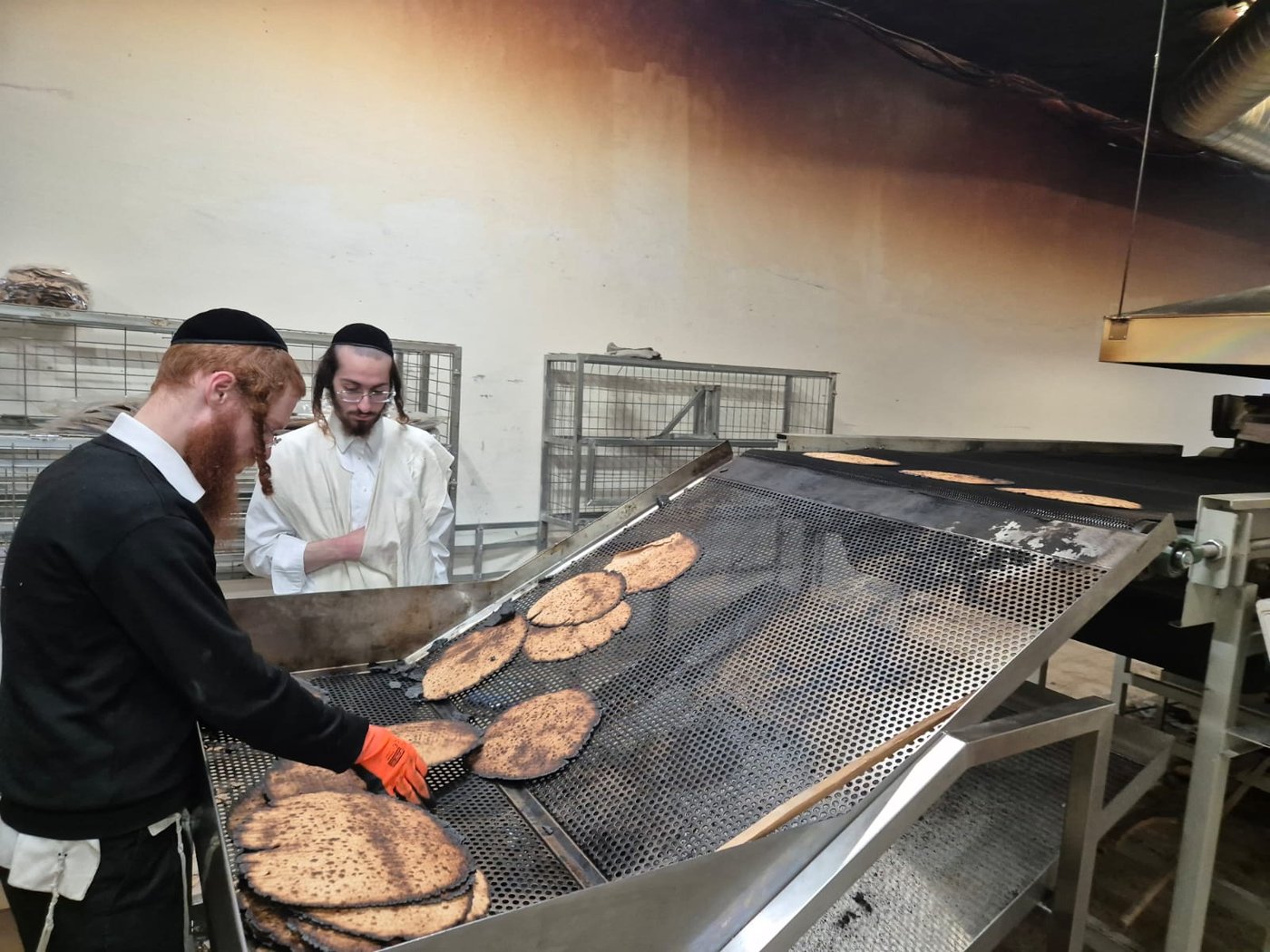 לראשונה: אברכים אפו מצות מזני חיטה עתיקה לרגישי גלוטן