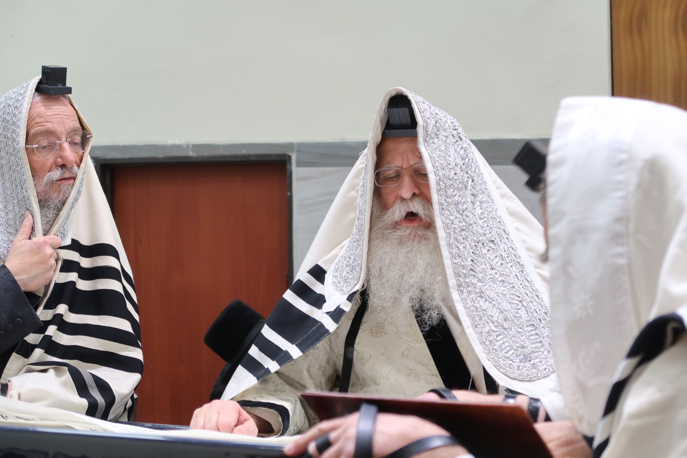 פורים בחצה"ק נדבורנה ירושלים