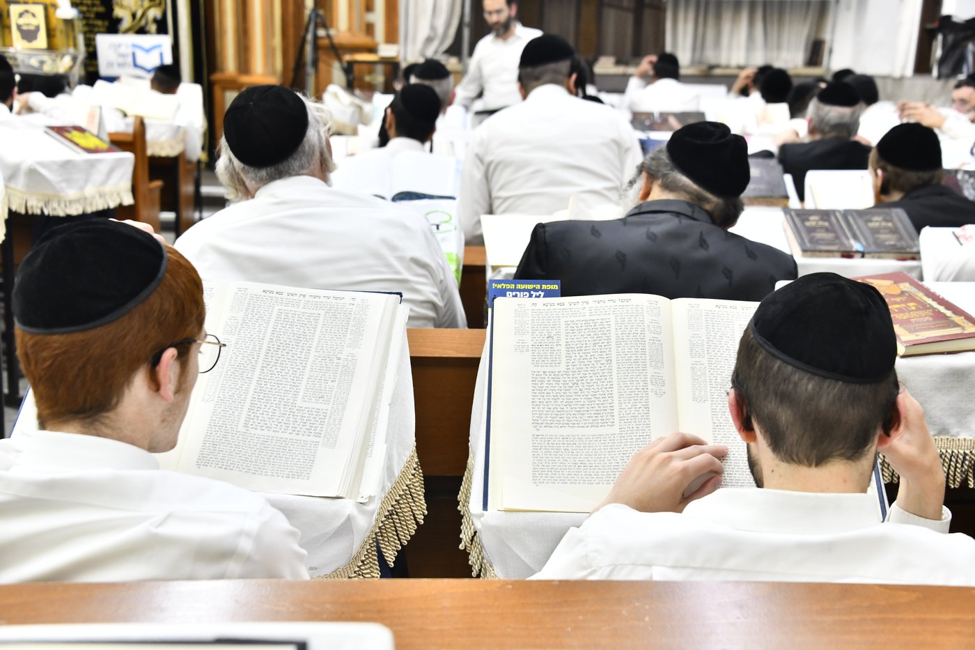 ההמונים זעקו ודמעו לישועה, בשרשרת מעמדות הסגולה של רינה של תורה סביב שלושת ימי הפורים