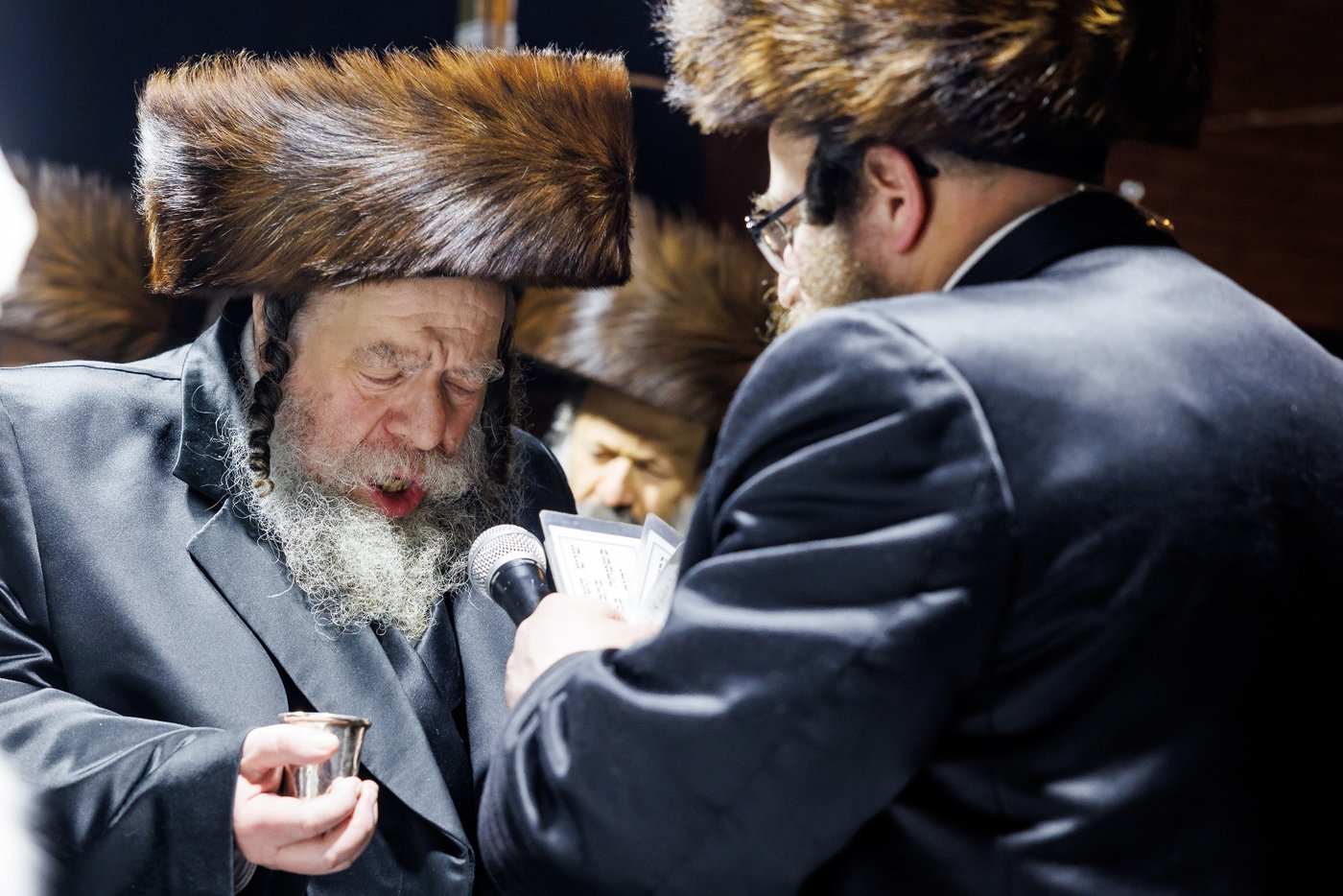 שמחת נישואי נכדת האדמו"ר מבאבוב 45