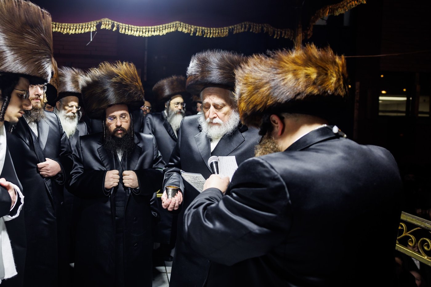 שמחת נישואי נכדת האדמו"ר מבאבוב 45