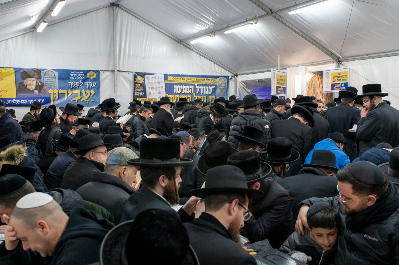 הילולא קדישא בליז'ענסק
