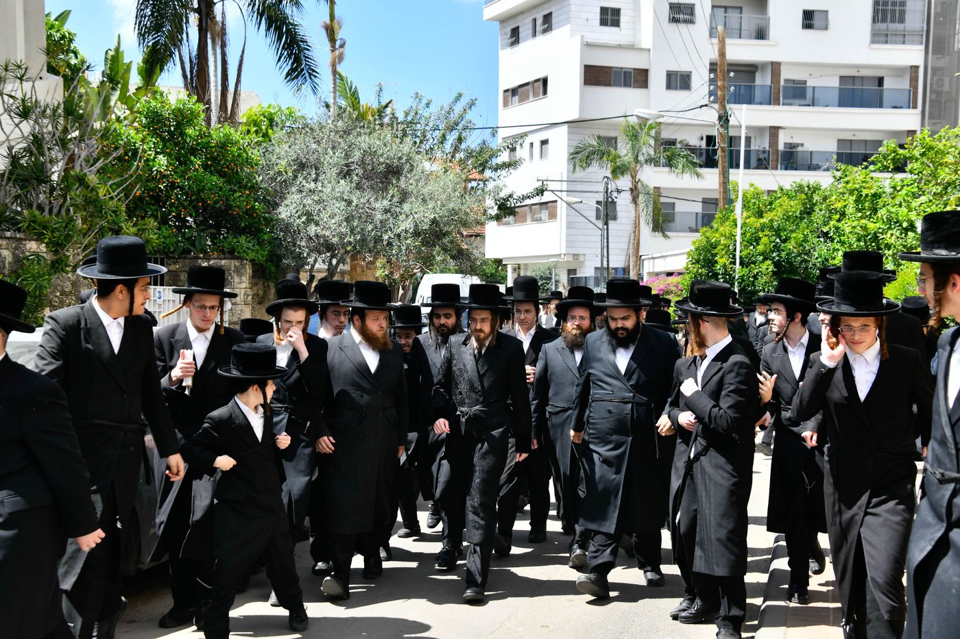 האדמו"ר מסאדיגורה בברכת האילנות 