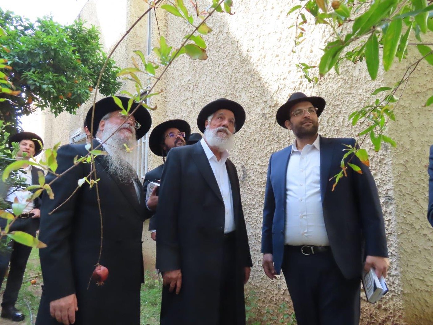 הגר"ש מחפוד בברכת האילנות