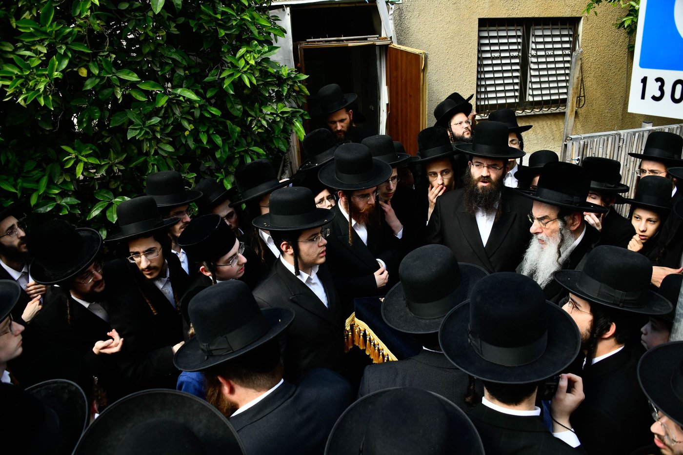 האדמו"ר מאלכסנדר בברכת האילנות