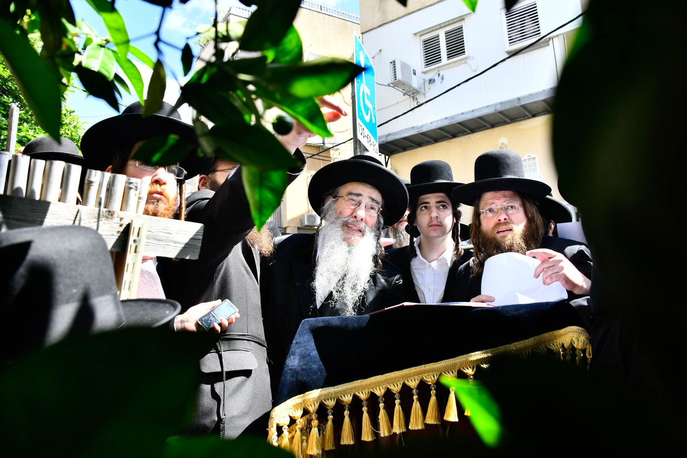 האדמו"ר מאלכסנדר בברכת האילנות