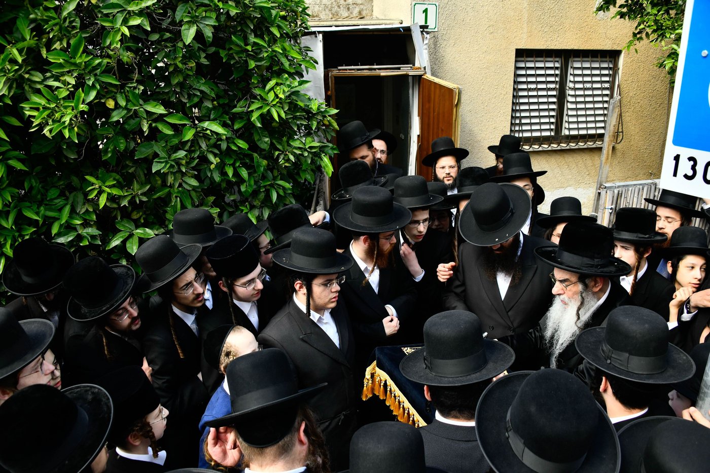 האדמו"ר מאלכסנדר בברכת האילנות