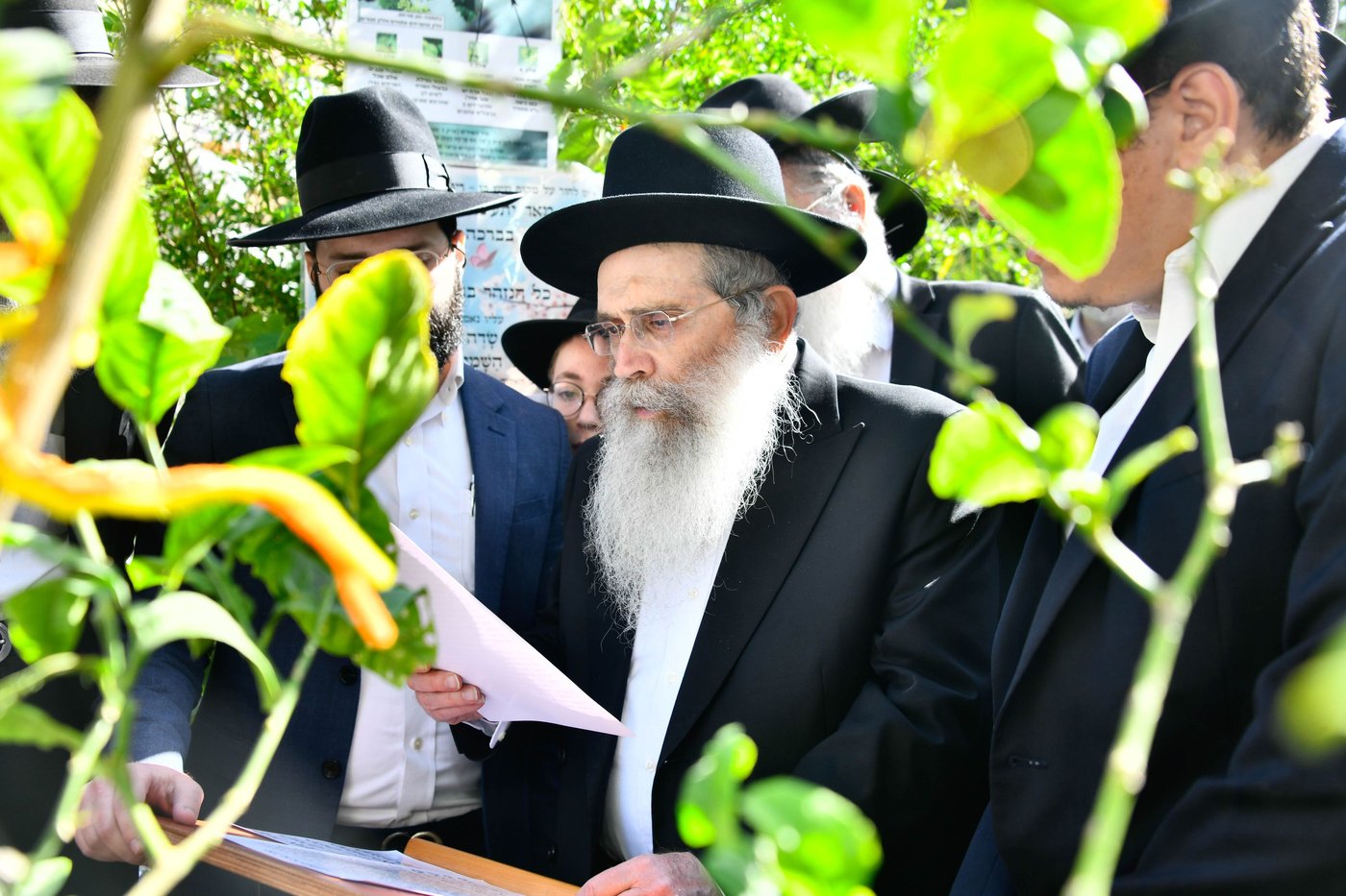 הגר"ש שטיינמן בברכת האילנות