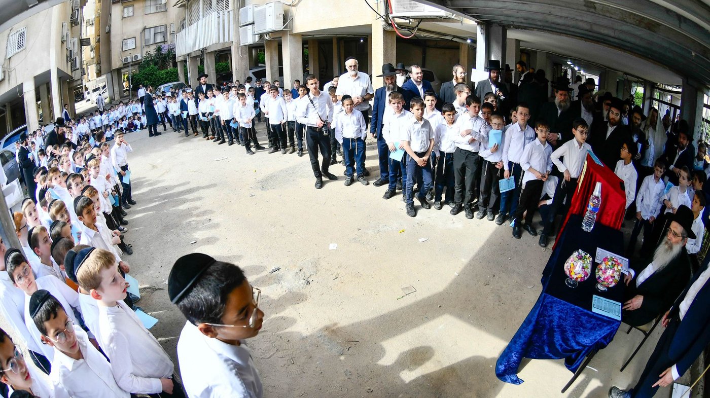 הגר"ש שטיינמן בברכת האילנות