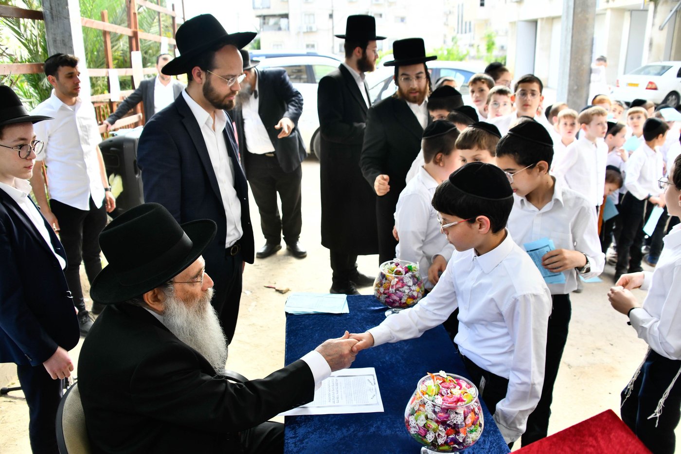 הגר"ש שטיינמן בברכת האילנות