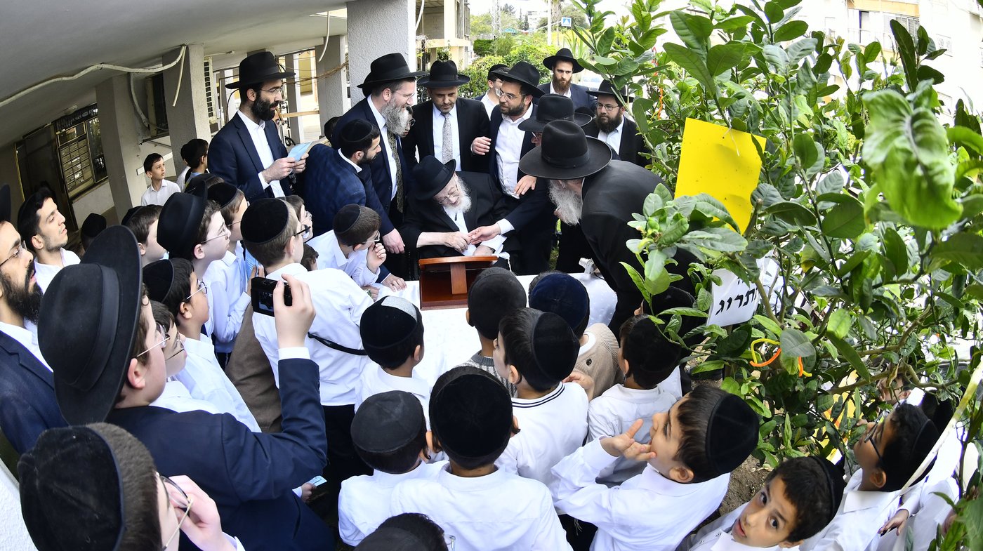 הגרמ"צ ברגמן בברכת האילנות