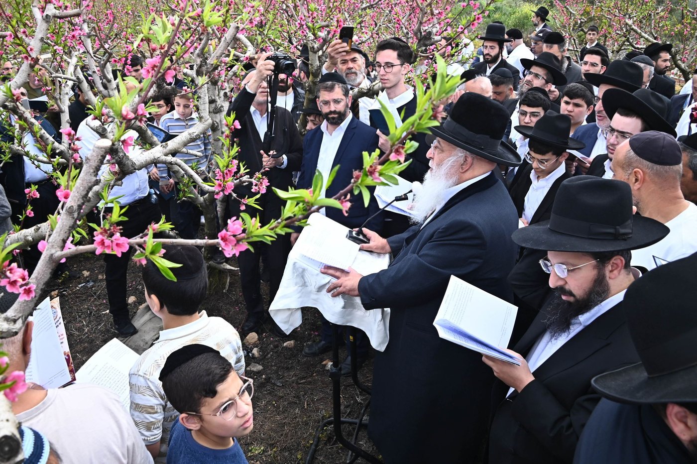 המקובל רבי בניהו שמואלי בברכת האילנות