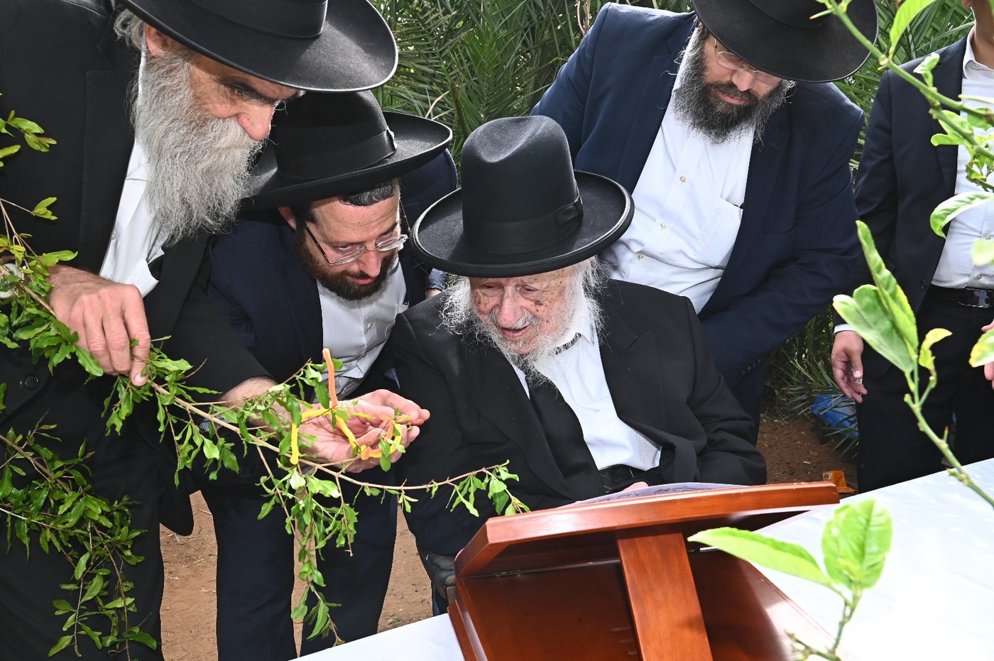 הגרב"ד פוברסקי בברכת האילנות