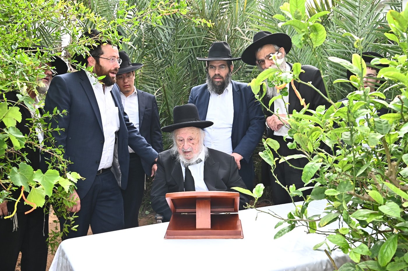הגרב"ד פוברסקי בברכת האילנות